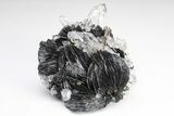 Quartz Crystals On Sparkling Bladed Hematite - Lechang Mine #226002-2